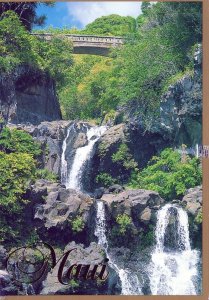 VINTAGE POSTCARD CONTINENTAL SIZE 'OHE'O, HALEAKALA NATIONAL PARK MAUI