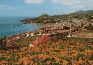 Portugal Postcard - Funchal, Madeira - Western View    RR9379