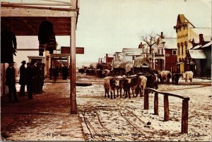 Diamond R Bull Train Miles City Montana Postcard Huffman Pictures Jack Coffrin