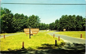 Shad Landing State Park Pocomoke River Worcester County Maryland MD Postcard VTG 