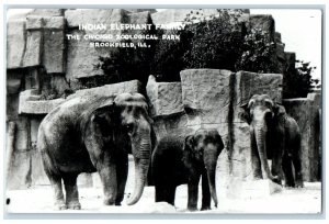 Indian Elephant Family Chicago Zoological Park Brookfield IL RPPC Photo Postcard