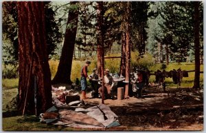 CA-California, Camp Among The Pines, People Camping Horses, Vintage Postcard