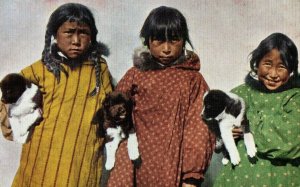 Vintage Six Little Arctic Natives, Alaska Postcard P168 