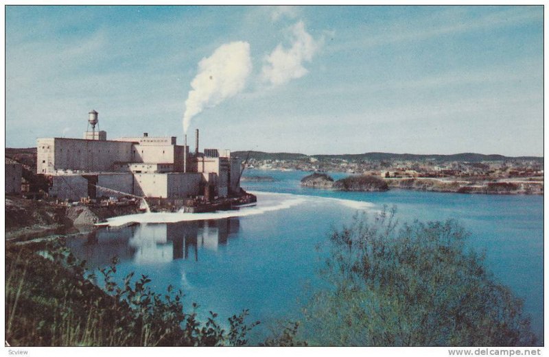 Slack Water- Reversing Falls, Saint John, New Brunswick, Canada, 1950-1960s