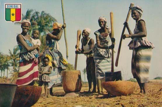 African Senegal Woman Women In Village Life Children Costume Postcard