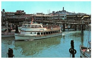 Gold Coast Two Hour Cruises San Francisco California Fisherman's Wharf Postcard