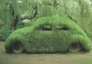 Volkswagen Beetle Car Growing Grass Dutch Photo Award Postcard