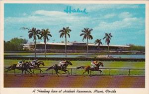 Florida Miami A Thrilling Race At Hialeah Race Course