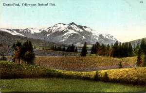 Yellowstone National Park Electric Peak Curteich