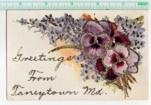Taneytown Maryland Greetings Pansy Flowers Glitter Postcard AA109749