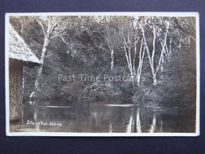 Surrey GUILDFORD ALBURY The Silent Pool - Old RP Postcard by J. Beyerlein