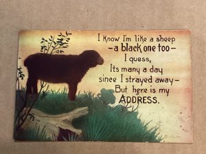 Black Sheep signed Grade 3