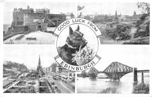 uk28376 good luck from edinburgh scotland real photo uk dog