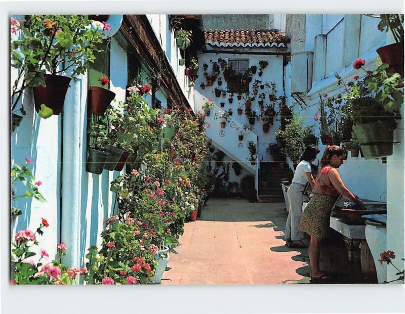 Postcard Typical patio of the Capuchinos district, Casi ná!, Málaga, Spain