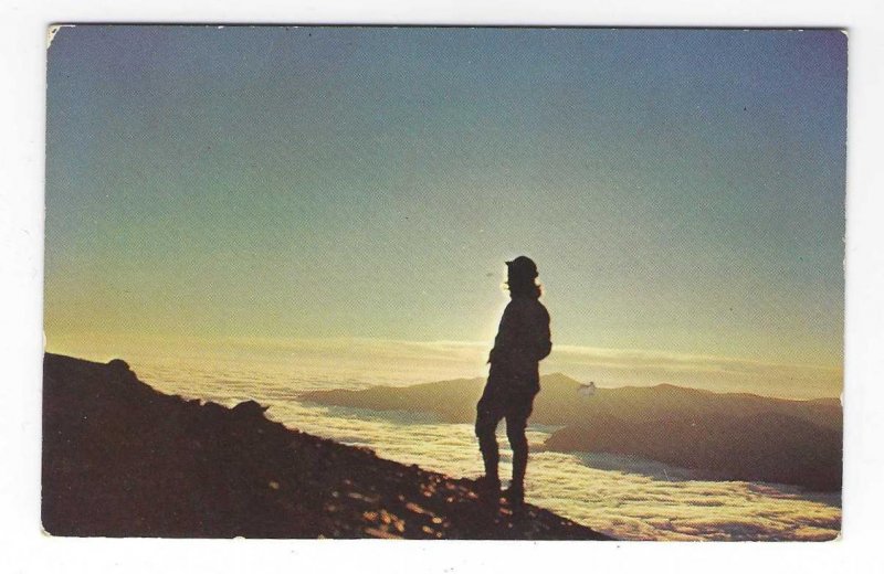 1960's Above The Clouds, Great Smoky Mountains Park, Tennessee Chrome Postcard