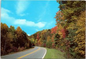 Scenic Georgia Fall Foliage along mountain highway