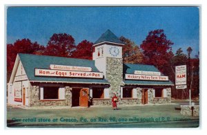 STROUDSBURG, PA Pennsylvania ~Roadside HICKORY VALLEY FARM  c1950s  Postcard