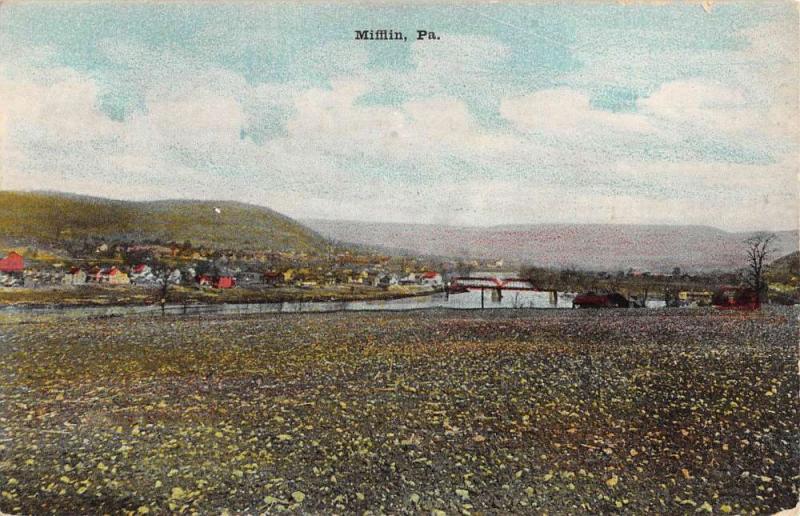 Mifflin Pennsylvania Scenic Waterfront View Antique Postcard K90991