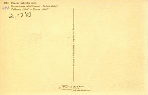 Flowers -    Crocus                           (Thor & Gyger #1451)