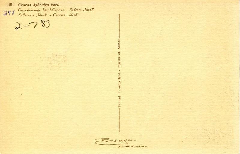 Flowers -    Crocus                           (Thor & Gyger #1451)