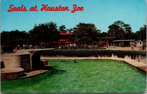 Seal Pool at Hermann Park Zoo, Houston TX c1965 Vintage Postcard T72