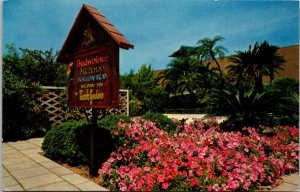 Florida Tampa Busch Gardens Scene Near The Reception Lobby Entrance