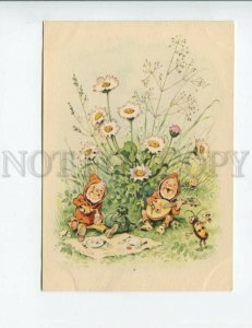 3141897 GNOME & Dressed BEETLE by BAUMGARTEN old 