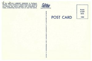 Lambert Gardens Double Lined Rose Gardens Postcard