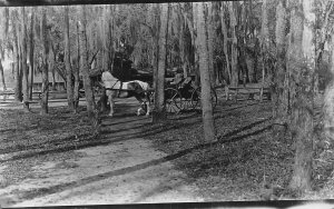 J79/ St Petersburg Florida RPPC Postcard c1910 Horse Buggy Building 126
