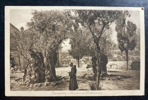 Mint Palestine Picture Postcard Jerusalem Garden Of Gethsemane