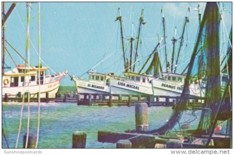 Texas Corpus Christi Shrimp Fleet