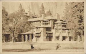 Yosemite National Park Ahwahnee Deer Real Photo RPPC Vintage Postcard 