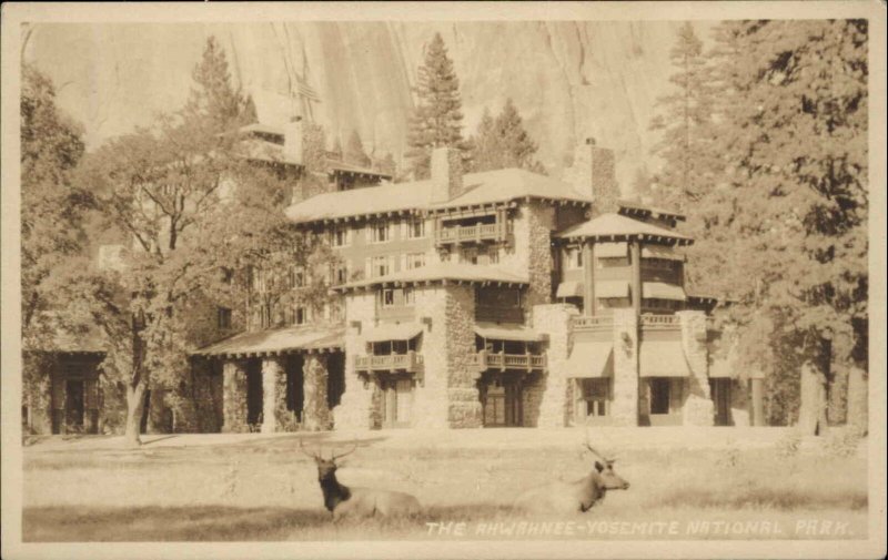 Yosemite National Park Ahwahnee Deer Real Photo RPPC Vintage Postcard 