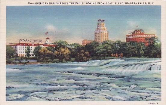 New York Niagara Falls American Rapids Above The Falls Looking From Goat Island