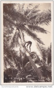 Climbing Coconut Tree For Coconuts Hawaiian Islands Real Photo