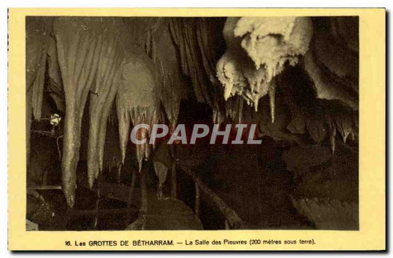 Old Postcard From The Betharram Caves The room octopus