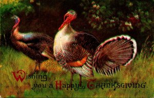 Thanksgiving Greetings With Turkey 1909