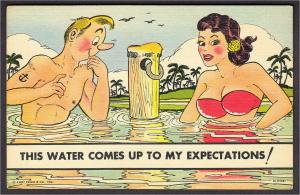 Florida The Water Comes Up To My Expectations Risque Linen Comic Postcard