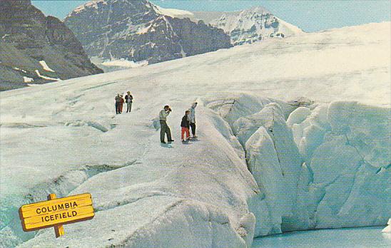 Canada Columbia Icefields Alberta