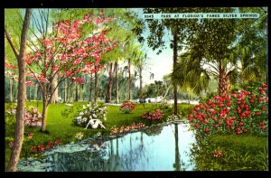 Florida SILVER SPRINGS Amusement Park Scenic ~ Linen