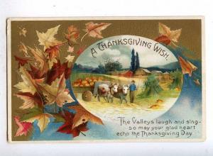 187178 Thanksgiving Wish by CLAPSADDLE Vintage EMBOSSED PC