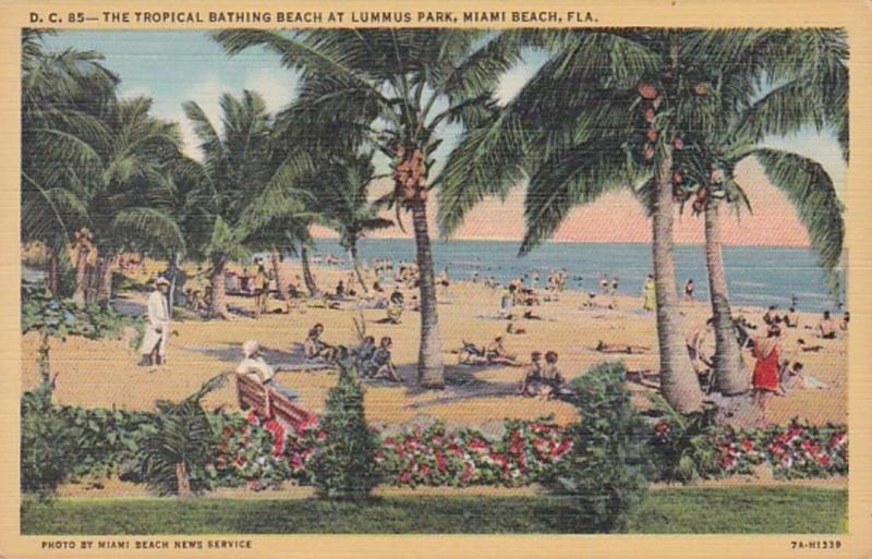 Florida Miami Beach Tropical Bathing Beach At Lummus Park Curteich