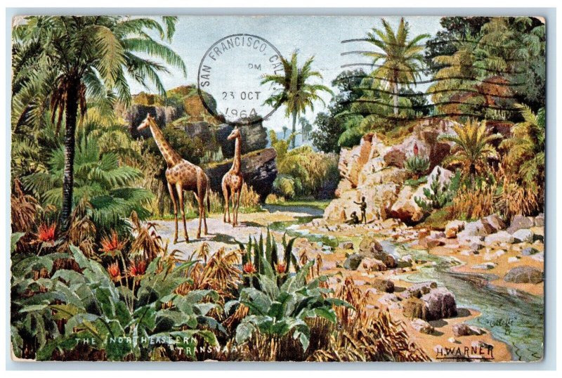 1964 The Northeastern Transvaal South Africa Oilette Art Tuck Postcard