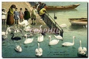 Old Postcard Geneve Au Quai des Bergues Swans