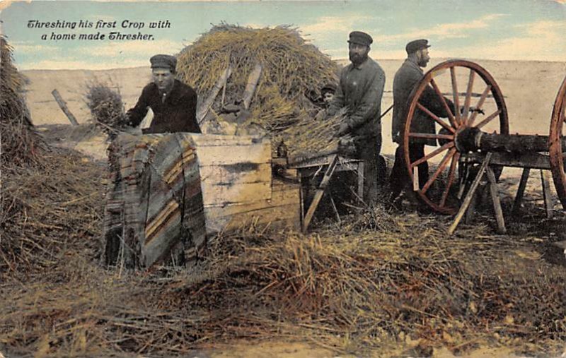 Threshing his First Crop Farming Unused 