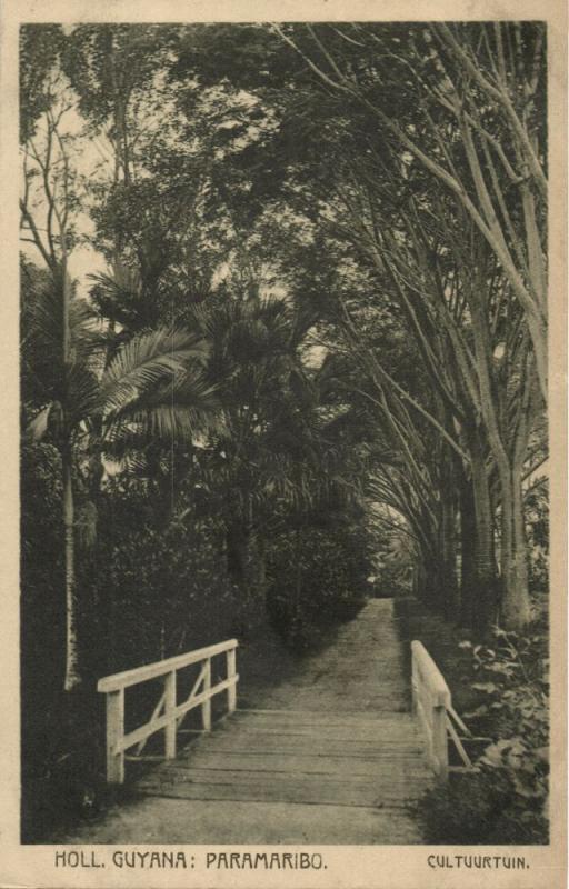 suriname, PARAMARIBO, Cultuurtuin, Gardens (1910s) Postcard