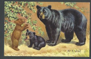 Ca 1958 PPC* BLACK BEAR & 2 CUBS MINT PAINTED BY AL KREML OF THE NWLF