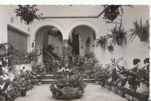 Spain Postcard - Cordoba - Typical Courtyard - Ref TZ4317