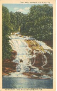 Adirondacks New York Buttermilk Falls 1949 Linen Postcard Used