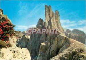 Postcard Modern Torri del Vaiolet m 2818 Dolomites